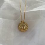 CAPRICORN / STEINBOCK – Bild 2