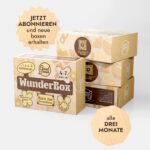 WunderBox 4-7 Jahre - Entwicklung im Spielformat - Image 6